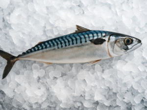 Maquereau Congelé IQF