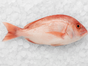 Badèche écaillé et vidée