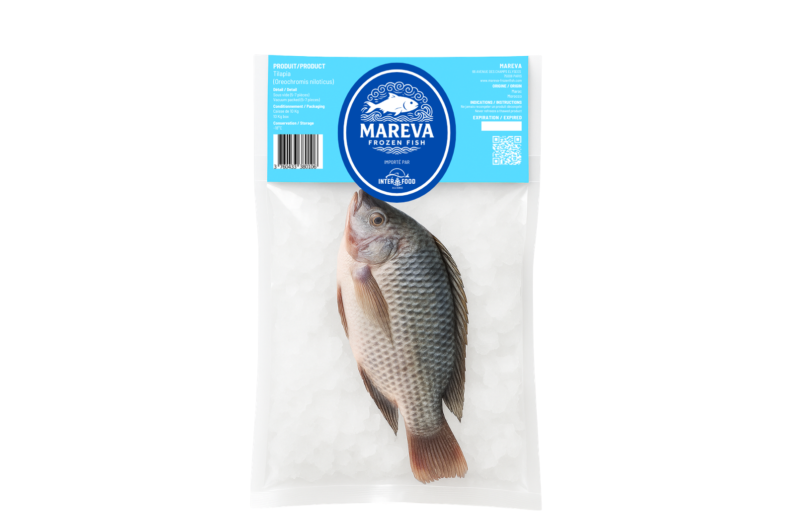 TILAPIA - OREOCHROMIS NILOTICUS â Image 2