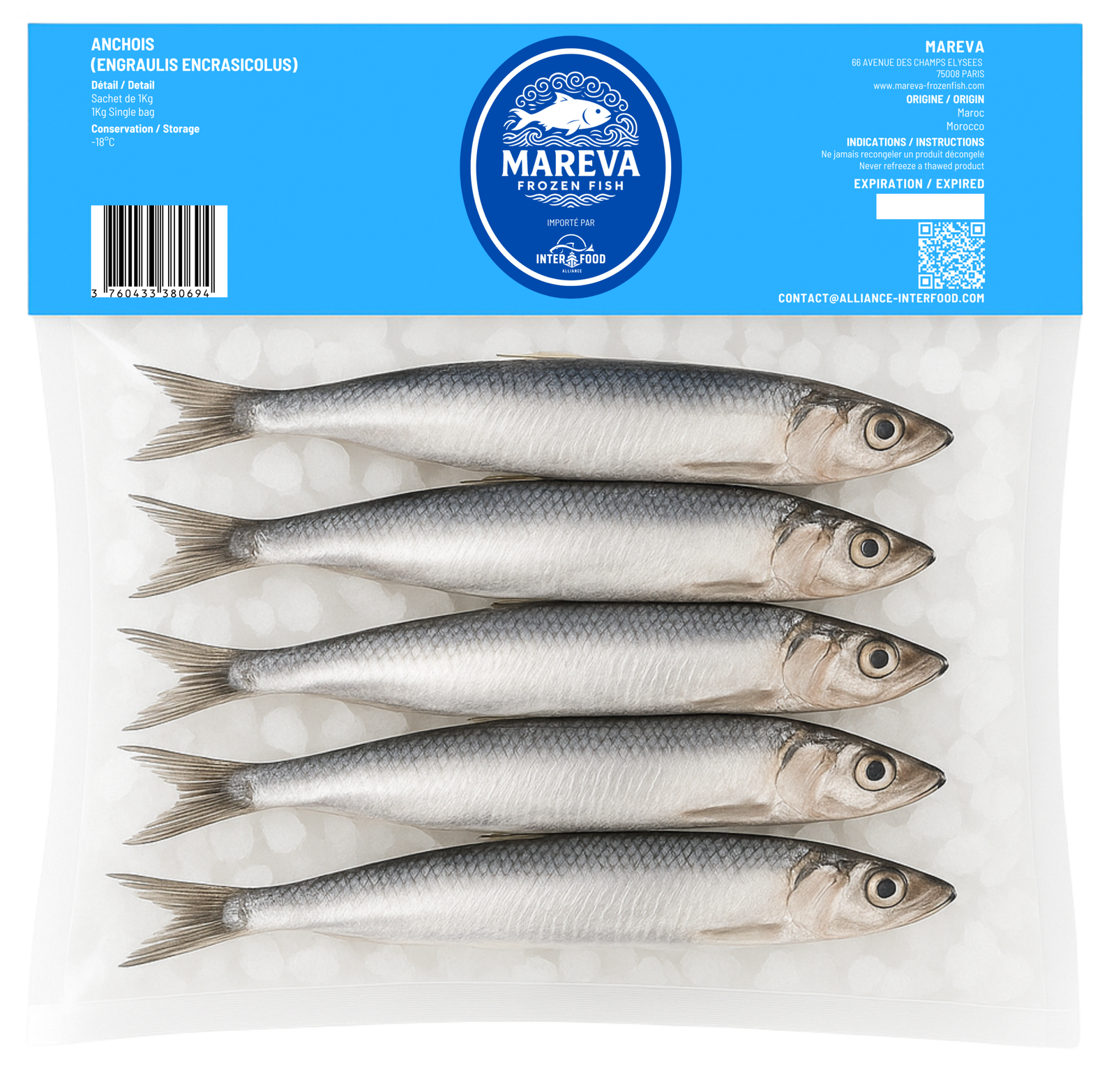 Anchois (Engraulis encrasicolus) â Image 2