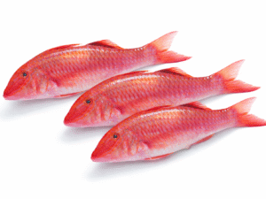 Rouget Congelé à Bord 1kg/caisse