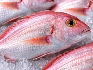 Pageot Rose Congelé IQF 300-400g